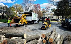Best Hazardous Tree Removal  in Walnut Park, CA